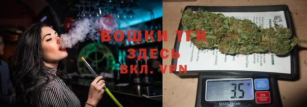 ГАЛЛЮЦИНОГЕННЫЕ ГРИБЫ Елабуга