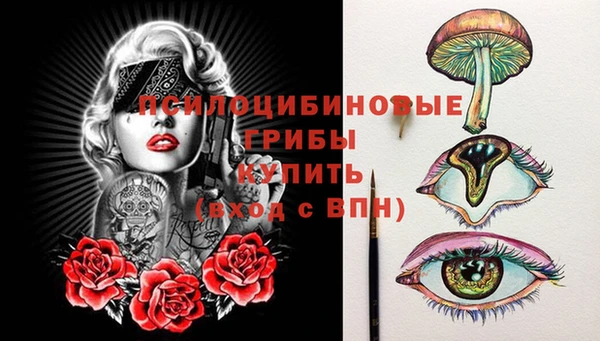 ешки Дмитриев