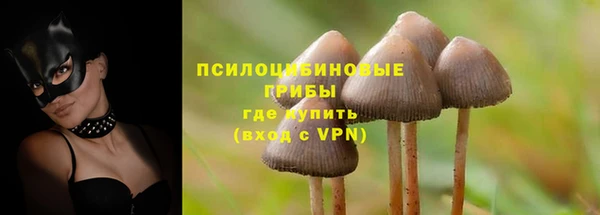 крисы Дмитровск