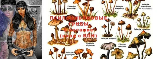 спиды Дмитров