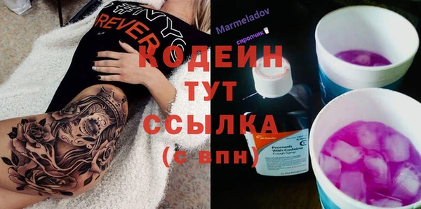 ешки Дмитриев