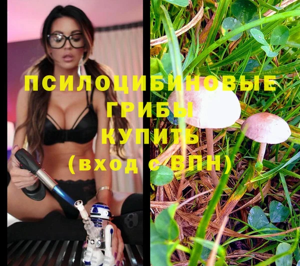 ешки Дмитриев