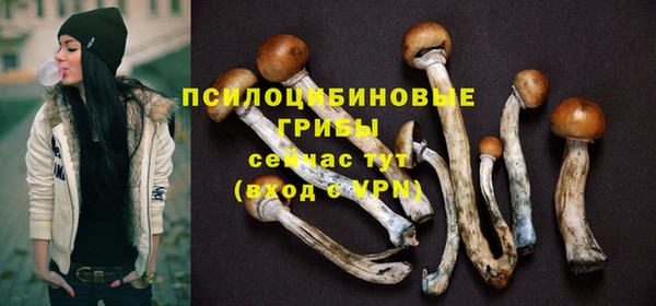 ешки Дмитриев