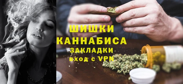 ешки Дмитриев